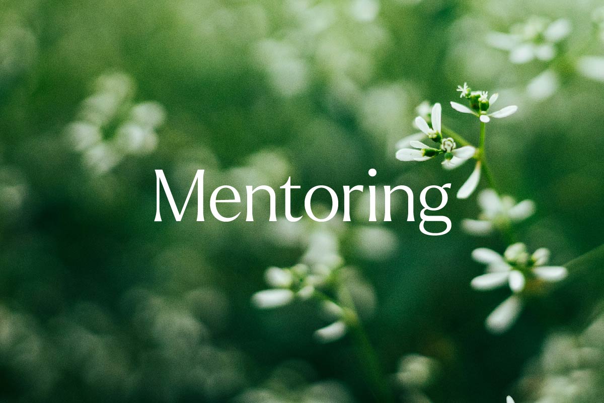 Closeup of white flowers and text Mentoring