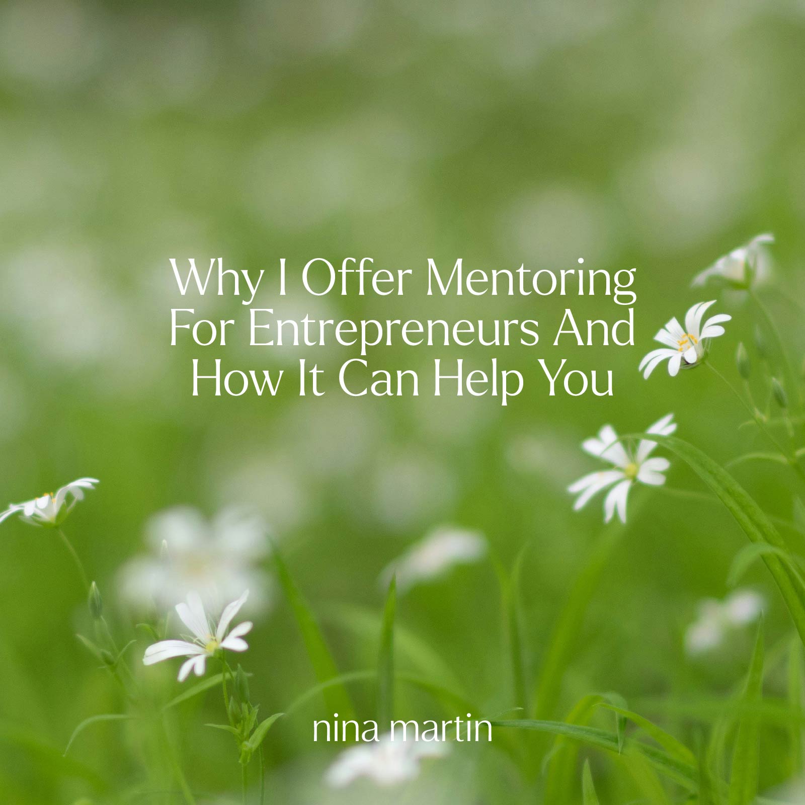 Field of dainty white wildflowers and text Why I Offer Mentoring For Entrepreneurs And How It Can Help You